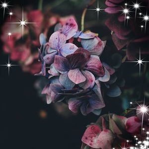 Meet your Posher, Danette